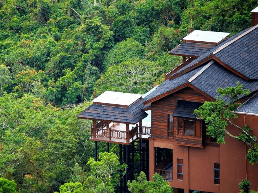 玩桨板探洞栖居于丛林之上住进三亚鸟巢树屋重新探索三亚