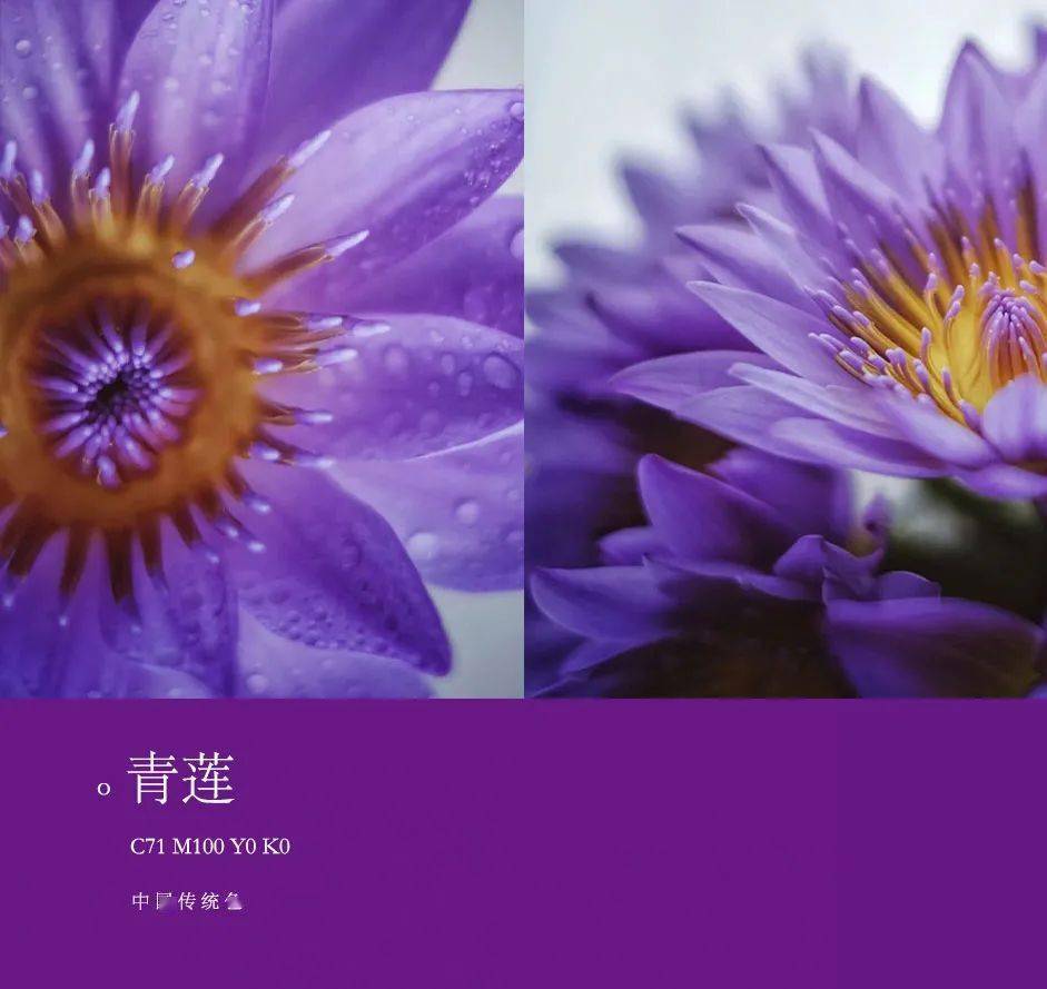 天青云月下白玫瑰紫雷雨垂这些流传千年的东方美色越品越喜欢