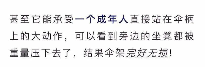 国产硬抗8级大风的国产硬核伞，质保十年！