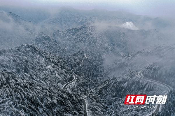 郑时|新田：水墨雪乡