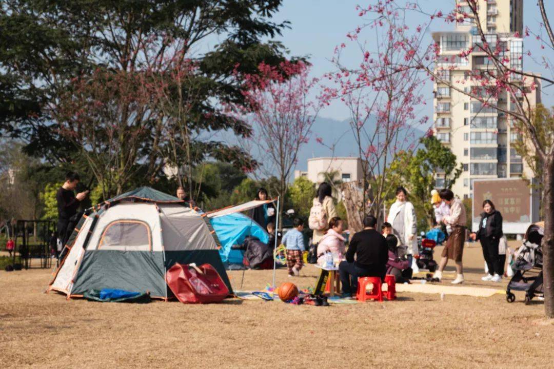 一大波寧德春日美圖來襲!週末春遊走起→→_公園_踏青_旅遊