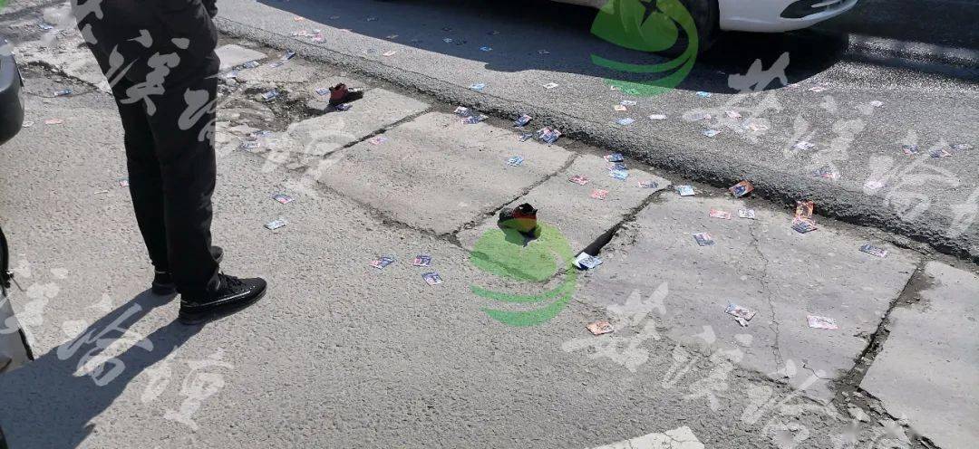 恐怖桥头一小学生被大货车碾压满地碎肉凶多吉少