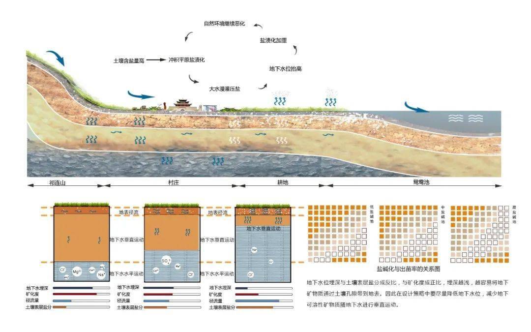 免除荒漠危机土地盐碱化生态修复设计2021la先锋奖