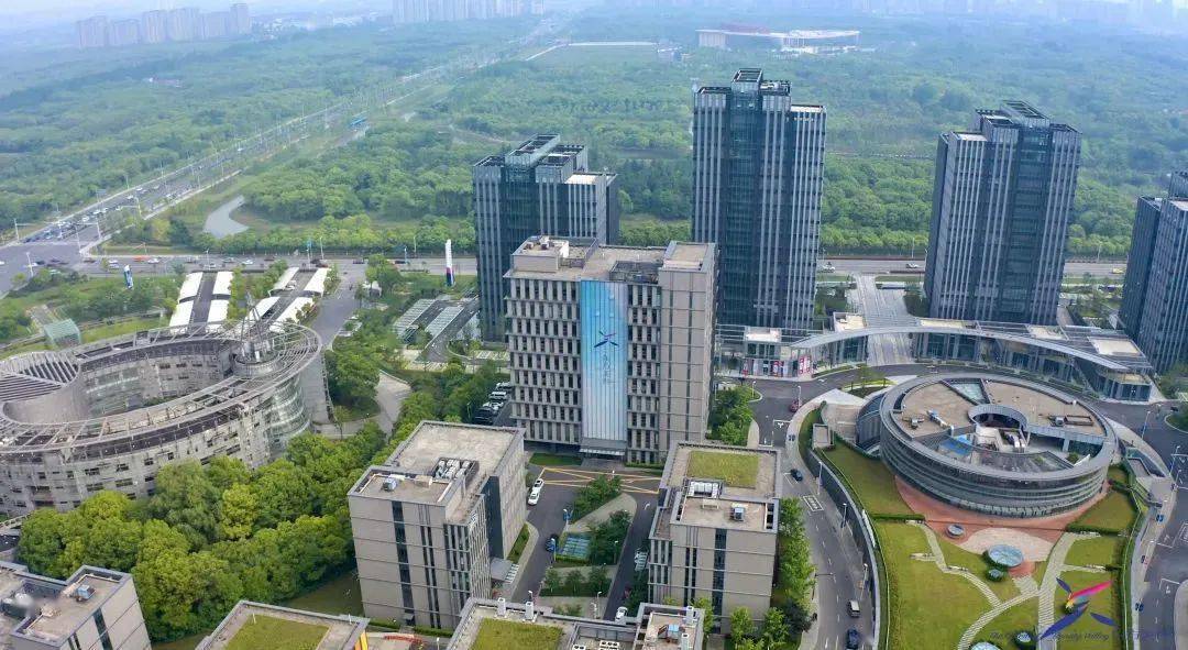 【提示】这三条路3月1日起全线统一更名为东方美谷大道_公路_奉贤区