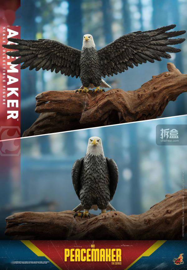 Eagly|HOTTOYS新品，《和平使者》和平使者1:6比例珍藏人偶