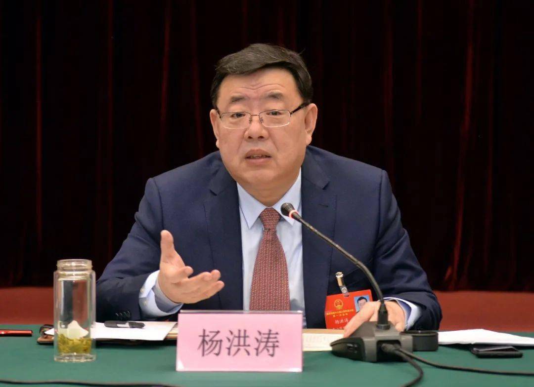 杨洪涛参加新泰市代表团审议_发展_工作_建设