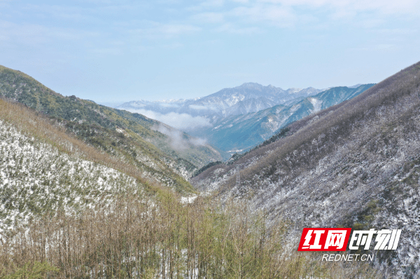 雾凇|湖南道县：雪后初霁美如画