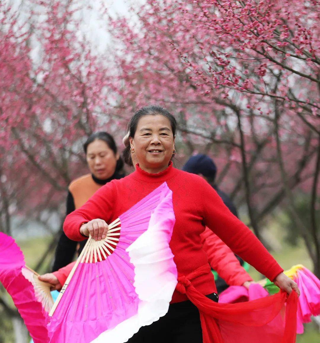 奼紫嫣紅春意濃莊市街道永旺花海春日勝景獲央視點贊