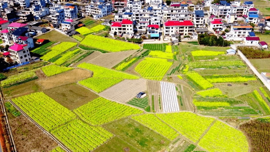 小松镇太平溪乡村旅游区石城 县会昌县小密乡莲塘村会昌县风景独好园