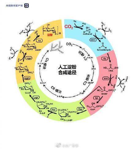 中国|2021年度中国科学10大进展发布