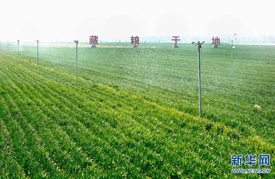 5G“新农业”涌春潮