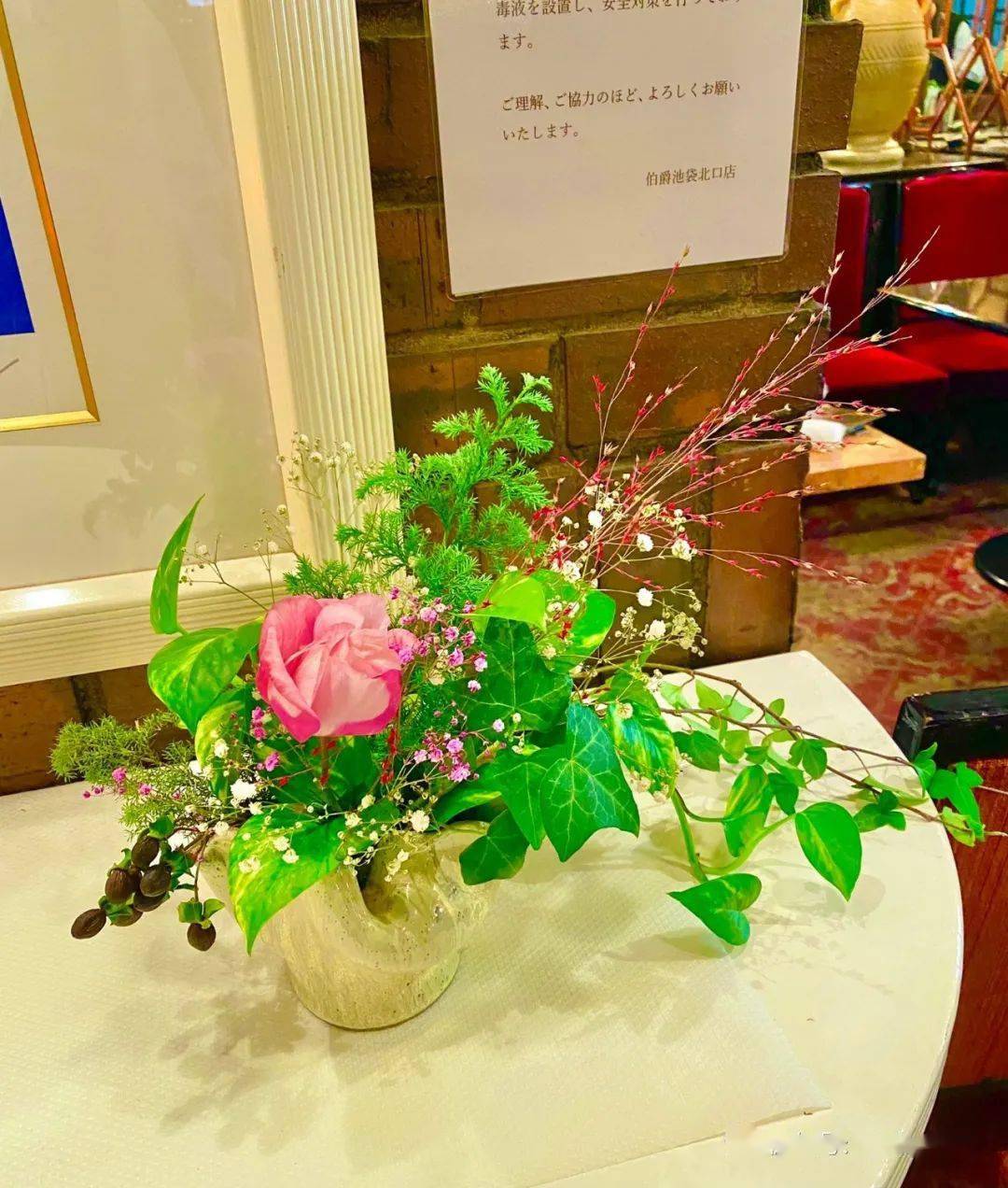 山野草摆在室内居然是这样的 万万没想到 园艺 视觉 苔藓