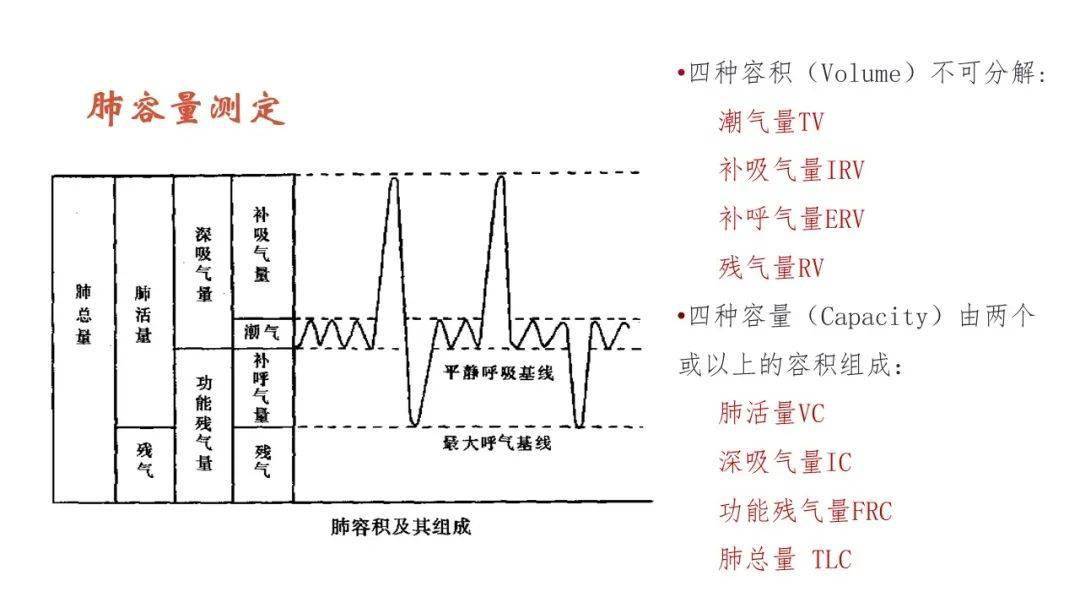 肺功能检查解读实用