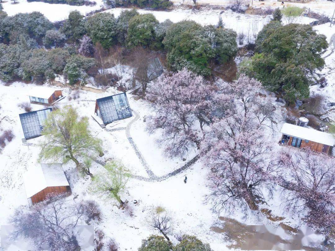 城关区|宝“藏”美宿评选活动丨有没有一间美宿，让你为西藏怦然心动？