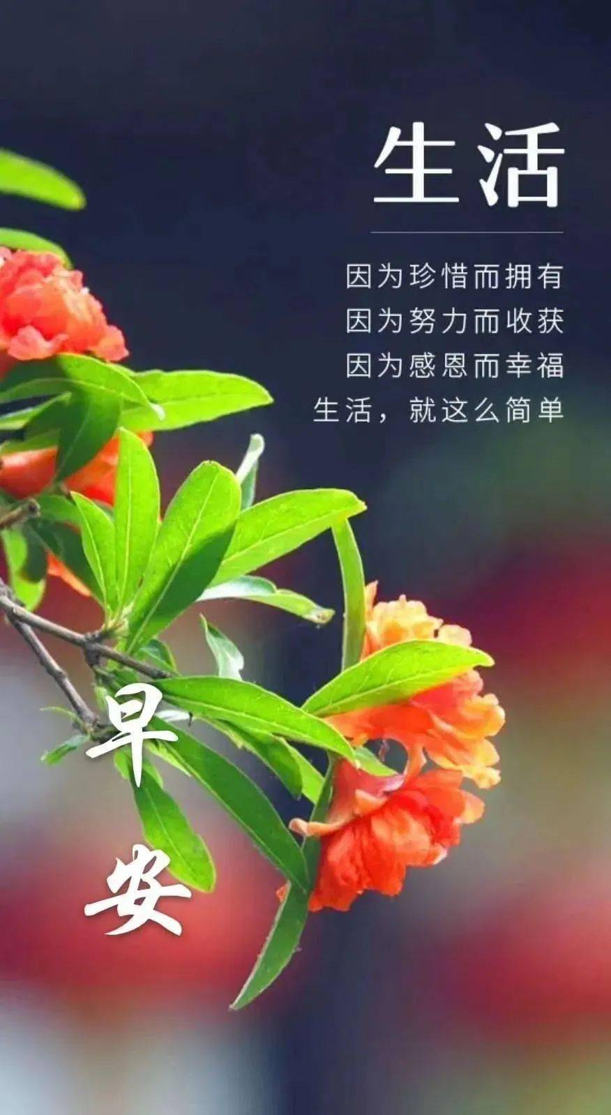 春天早上好问候祝福动画表情图片3月最新清晨问候祝福语动态图片表情