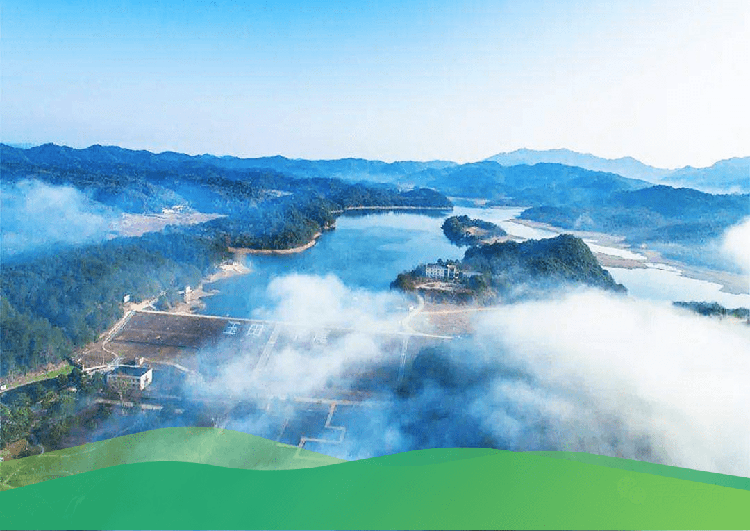 景德镇玉田湖旅游区发展总体规划暨国家森林康养基地专项规划项目考察