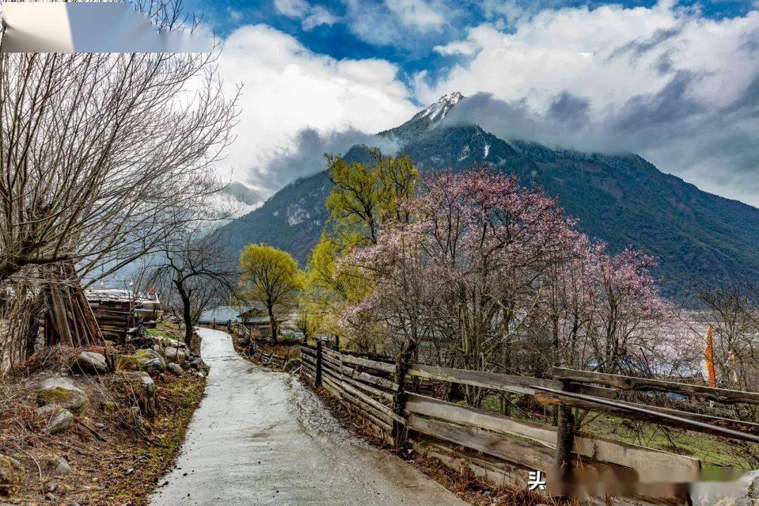 3月去林芝是對美景最大的尊重