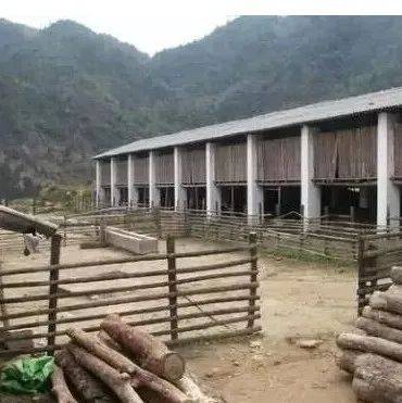 在农村养羊怎样建羊舍!_山羊_南方_屋顶