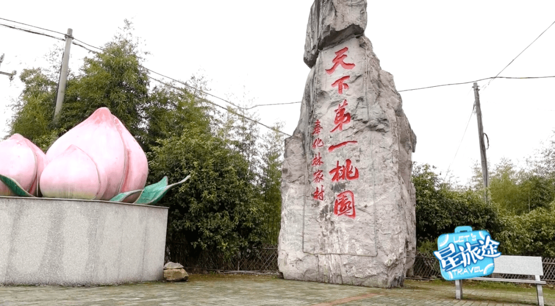 擀面2小时做出来的一碗小馄饨,真正做到了入口即化~_奉化_宁波_新建村