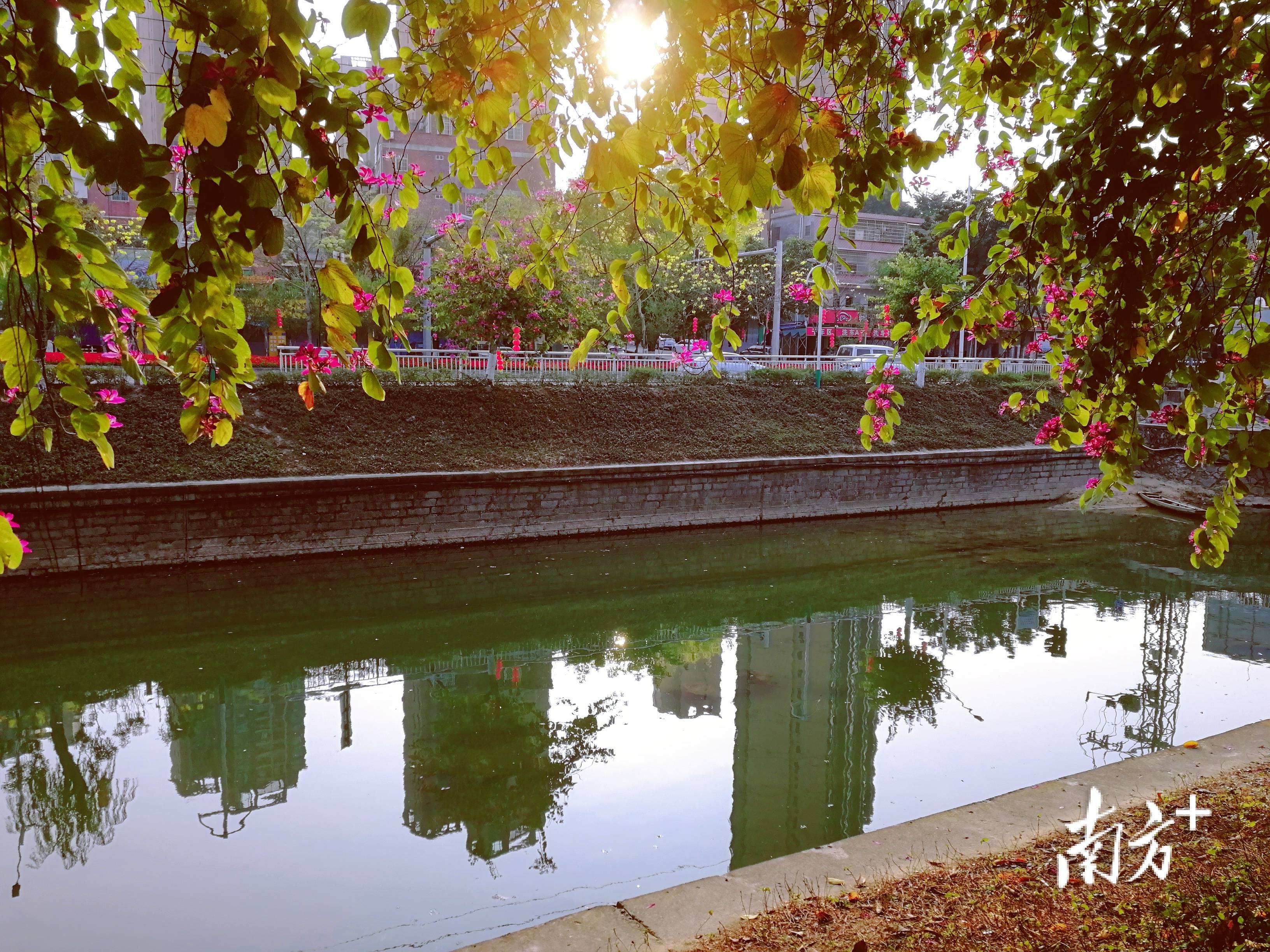 为辖区增添了一条绿色生态绿廊;永和河碧道纳入永和河增城段(官湖河)