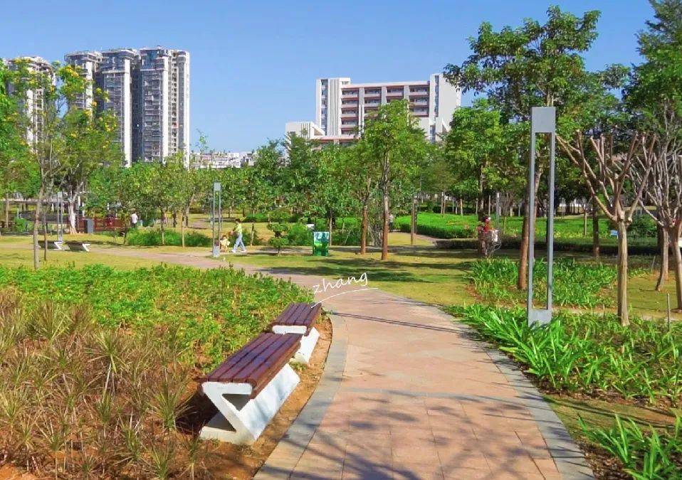 美出天际这个周末我想去同安的公园走一走
