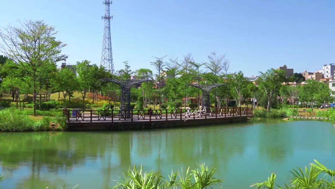 美出天际这个周末我想去同安的公园走一走