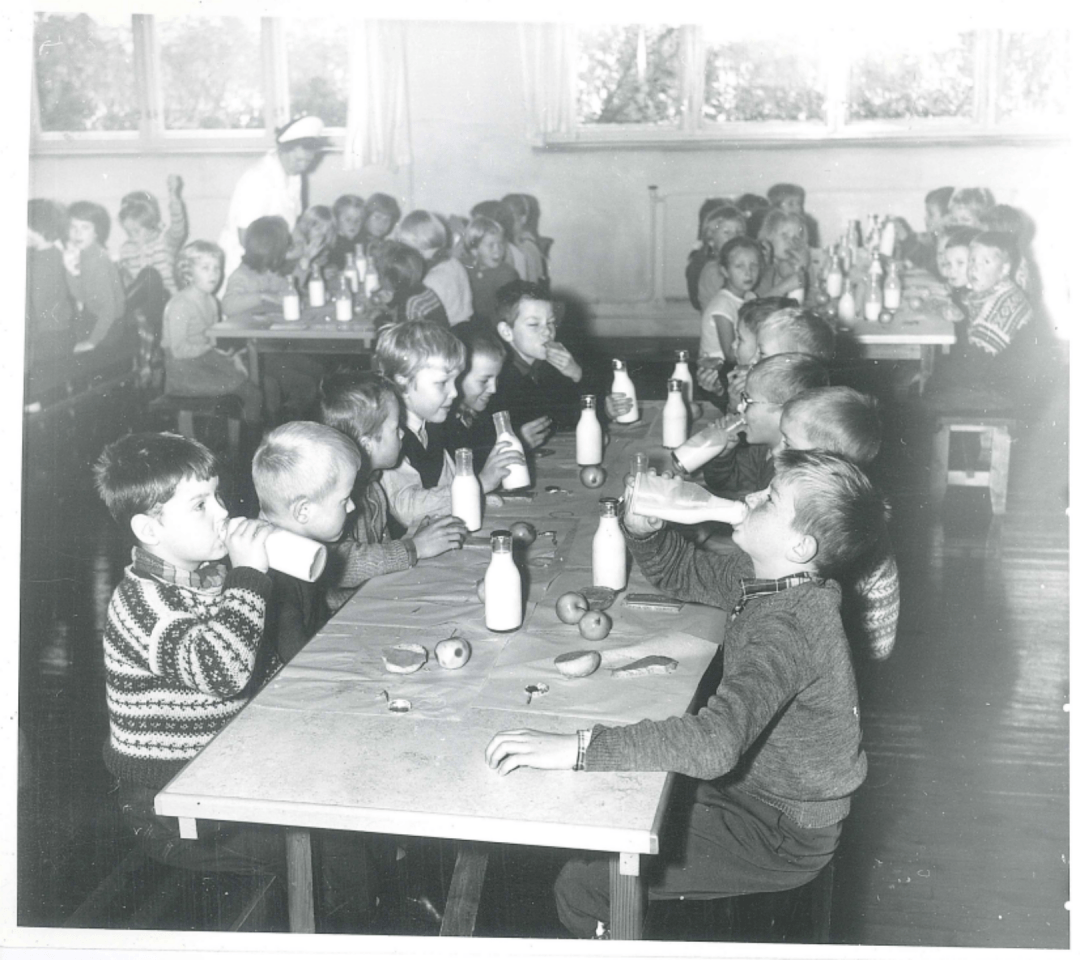 蔬菜|让孩子长高的秘密,就藏在他们的早餐里!春季长高黄金期,可千万别错过