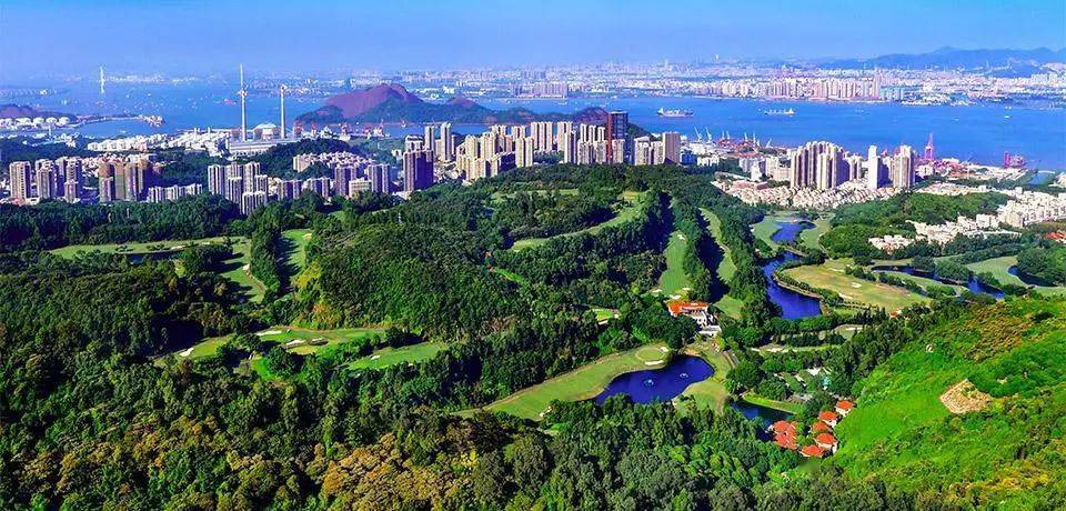 38专场铁定出发打卡绝美南沙湾十万樱花狂食3小时四海一家自助餐入住