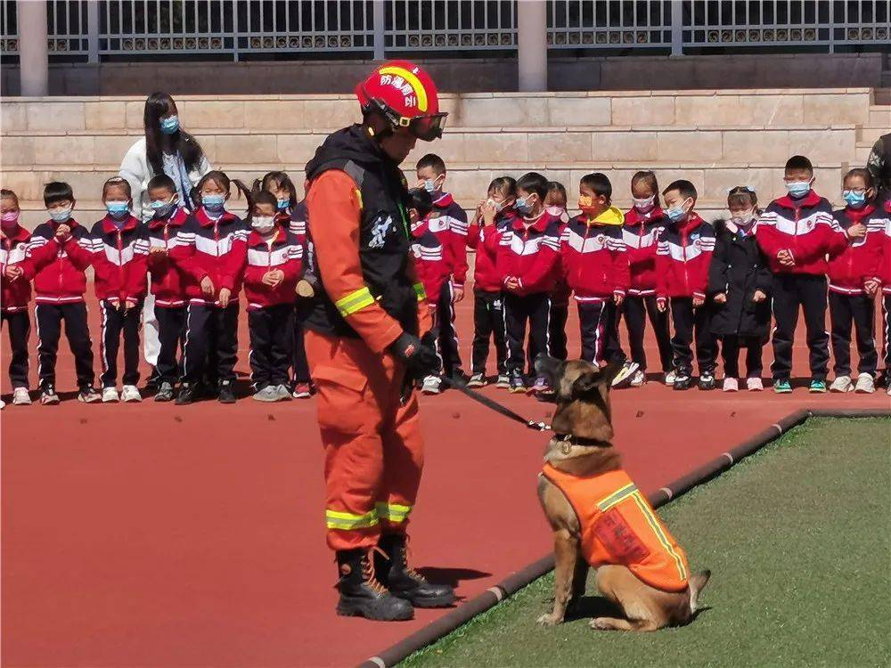 楚雄开发区永安小学图片