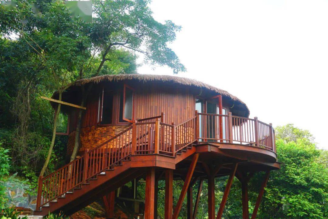 广州从化新晋网红森林民宿打造一个梦幻中秘境桃花源丨南方民宿