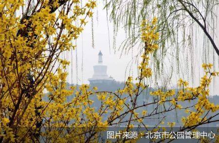 攻略|北京市公园管理中心发布赏花攻略