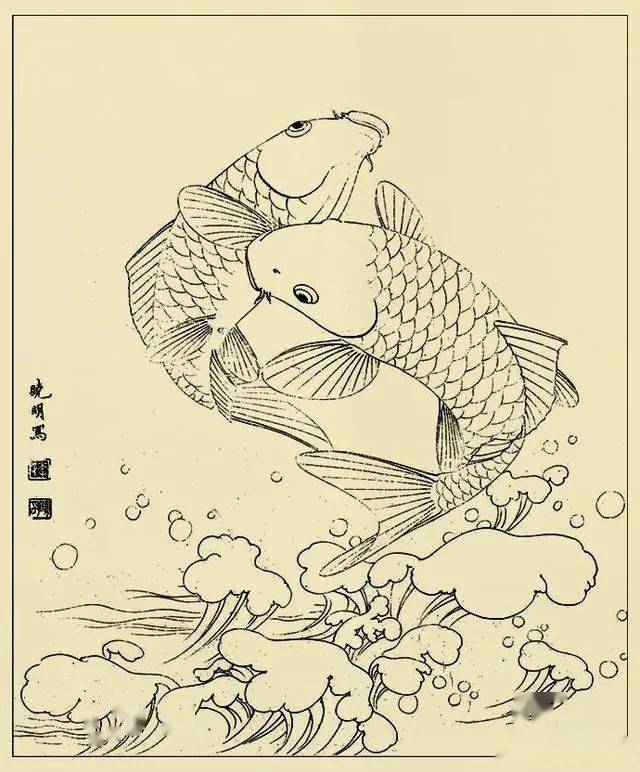 李晓明很漂亮的工笔花鸟画白描稿值得一看