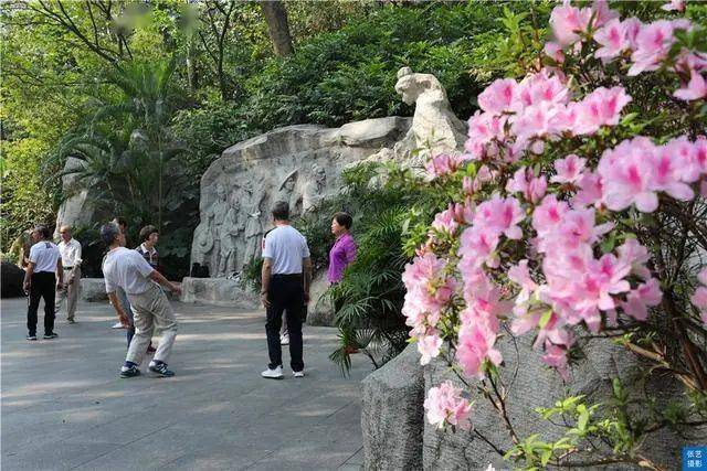 满园春色|赏桃花何须远行，桃花故里最仙境，广州白云山桃花涧让人流连忘返