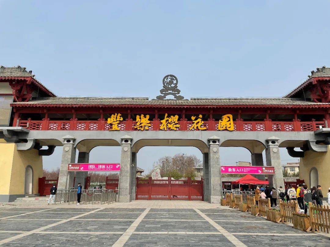 古柏渡丰乐樱花园▏开园首个周末即迎来客流小高峰