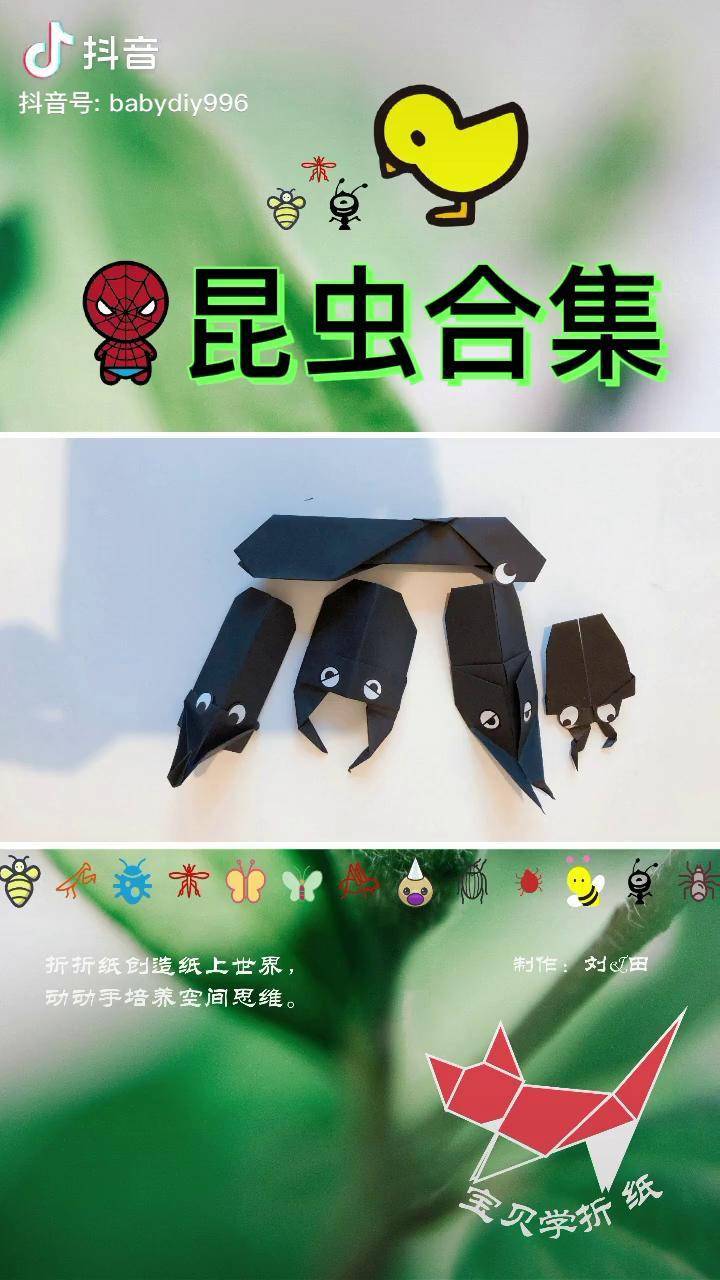 昆虫折纸合集手工折纸折纸
