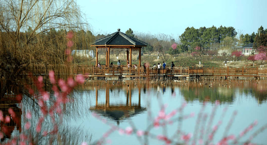 "女神节"线路来啦,一起"香"约花季溧水!_梅花山_石臼_秦淮