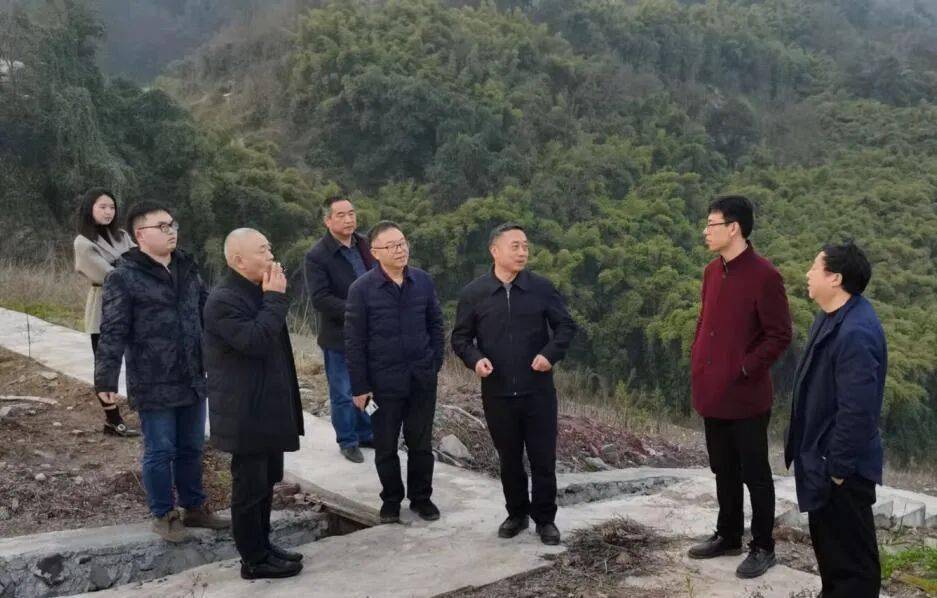 涪陵区乡村振兴局局长潘登锡率渝教集团来新妙镇岔河村谋划发展