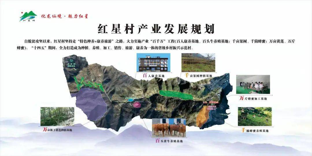 项目一线识干部 牛头店镇红星村:乡村振兴春风暖 增产富民在"红星"