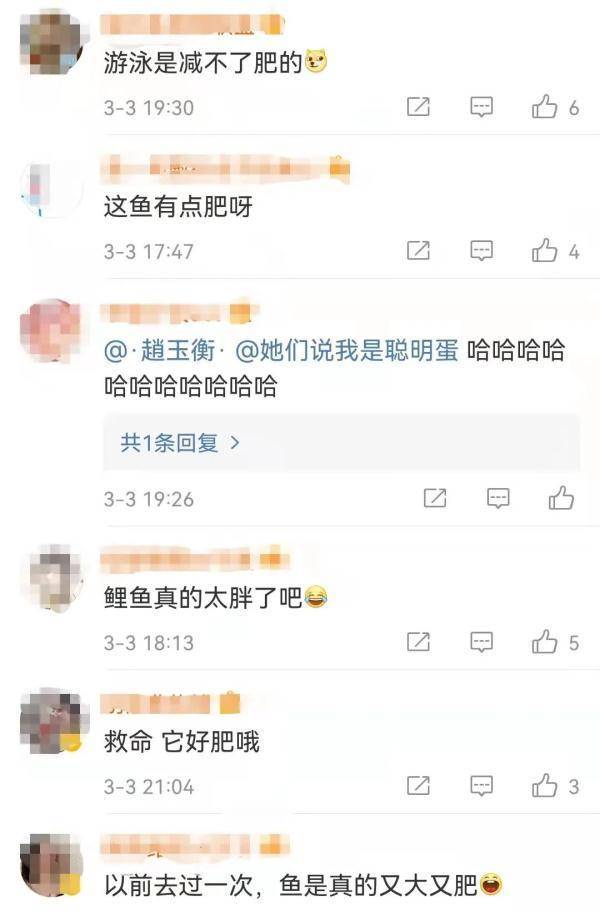 号外|济南趵突泉的鱼为啥胖成球？