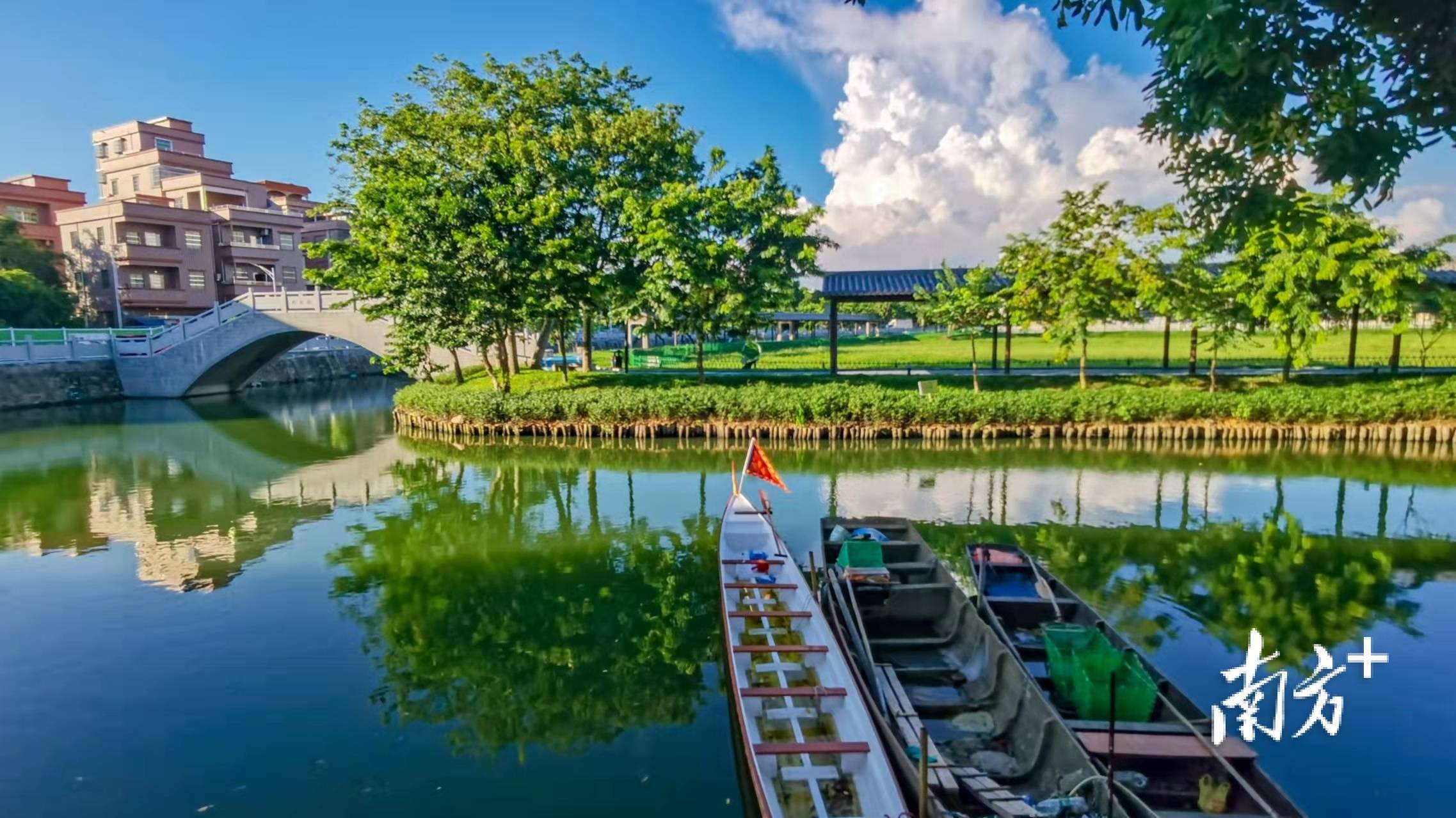 全市第一道滘镇交出亮眼环保成绩单