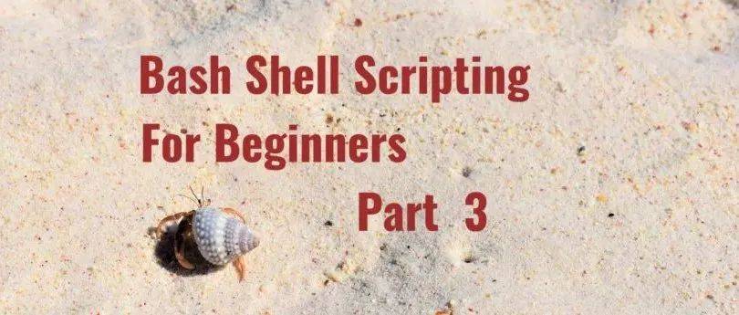Bash Shell 脚本新手指南（三） | Linux 中国_if_函数_Matthew