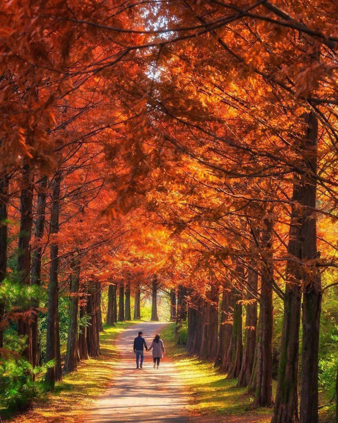 终究有一天,你要学会释怀,学会成长,学会独自看风景,学会放下顾虑与