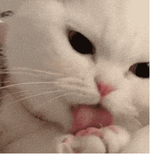 俊晔|大S具俊晔官宣结婚;网剧《唐人街探案2》预计6月开机