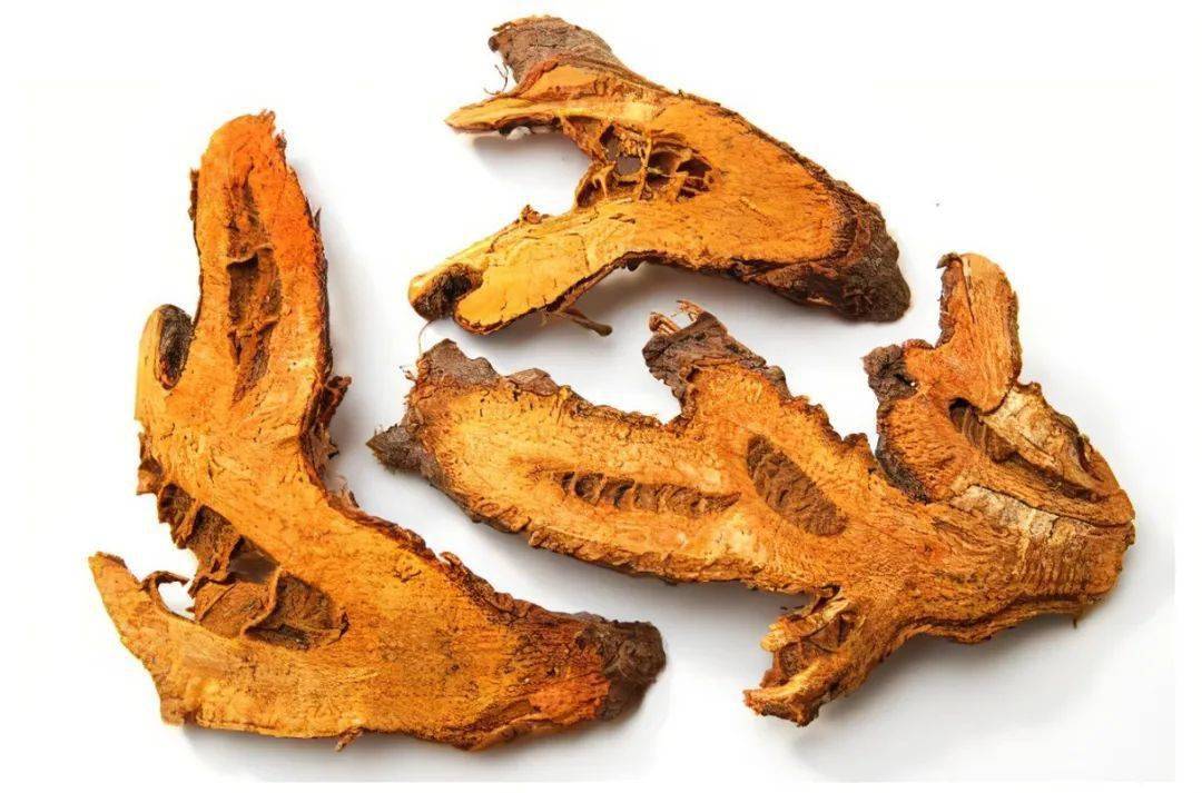 虎年说虎药盘点那些名字带虎的中药