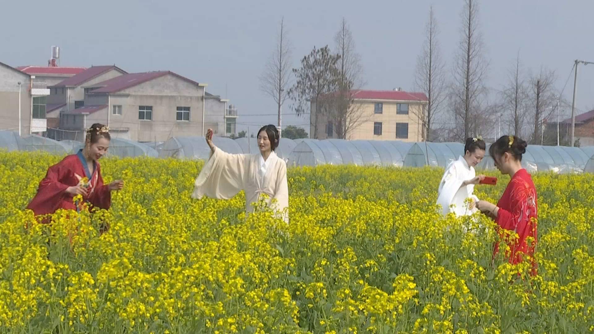 南昌县塔城乡万亩油菜花迎风盛开