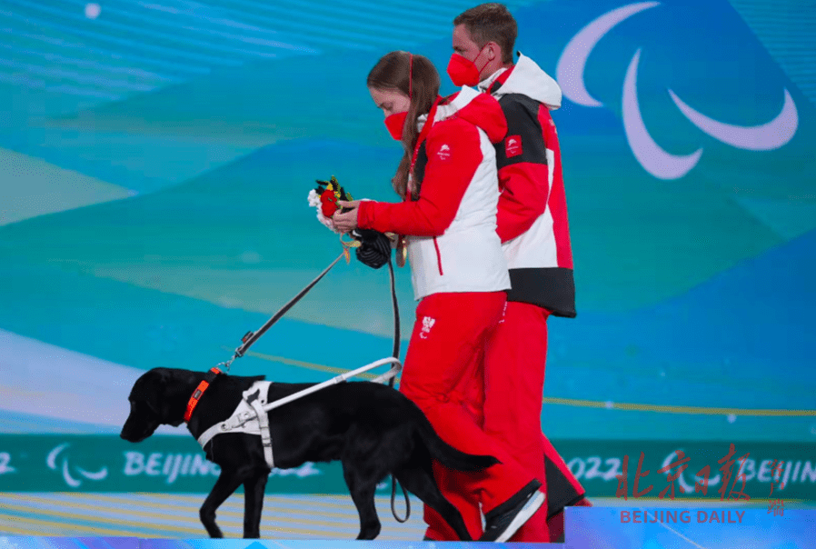 滑雪|颁奖典礼上再现感人一幕，奥地利运动员牵着导盲犬上台领奖