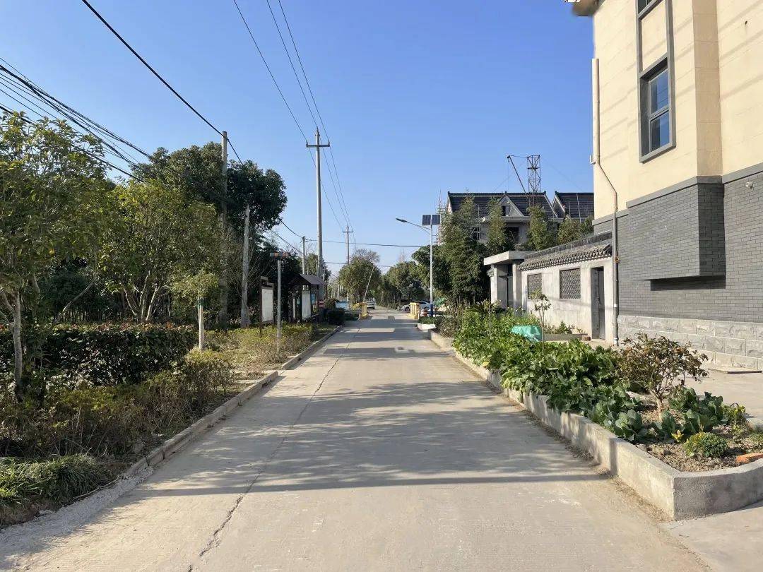 合美新仓超前完成石路村项家浜率先通过农村人居环境集中整治攻坚验收