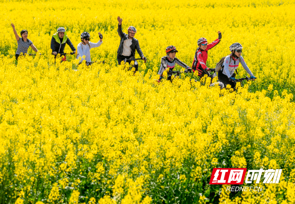 两河口|湖南道县：游花海 享春光（组图）