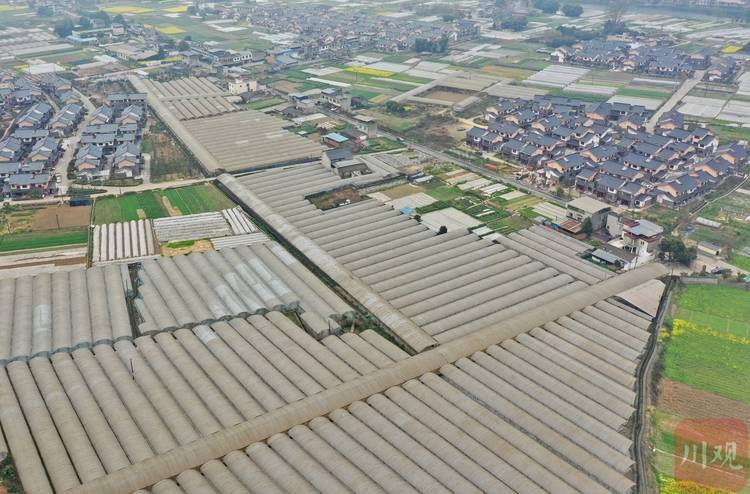 3月9日,在成都市双流区永安镇双坝村俯瞰3月9日,在成都市双流区永安镇
