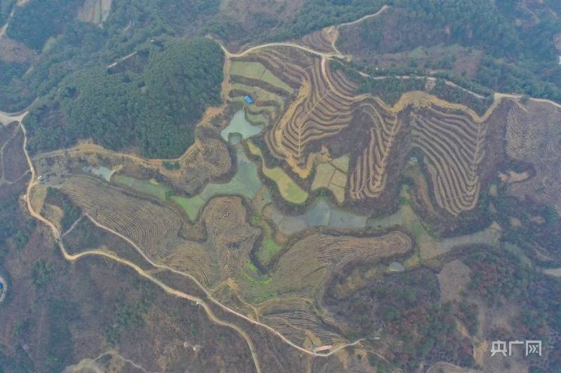 沃土|贵州剑河：“山呼海应”启新程 千亩沃土绘新景